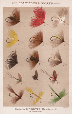 ANTIQUE PRINT OF FISHING FLIES FROM 1885